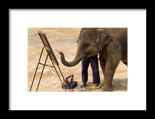 Asia Framed Print featuring the photograph Thailand, Maesa Elephant Camp #1 by Emily Wilson