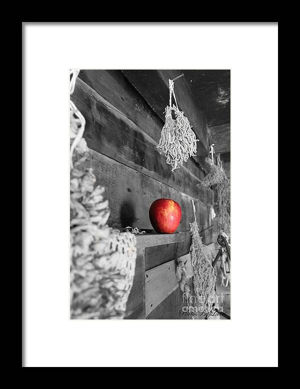 Photographs Framed Print featuring the photograph The Apple #1 by Laurinda Bowling