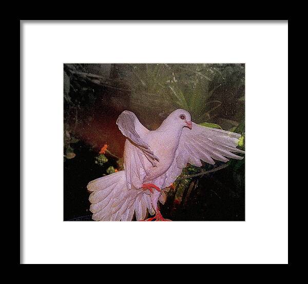 Dove Framed Print featuring the mixed media The Dance #1 by YoMamaBird Rhonda