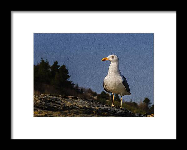 2010 Framed Print featuring the photograph The Observer-Oil by Mark Myhaver
