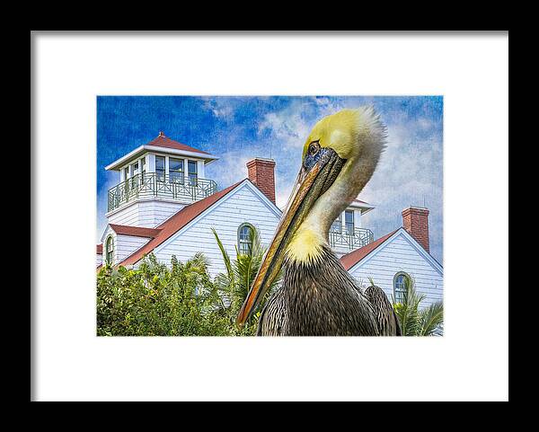 Bird Framed Print featuring the photograph The Watch #2 by Debra and Dave Vanderlaan