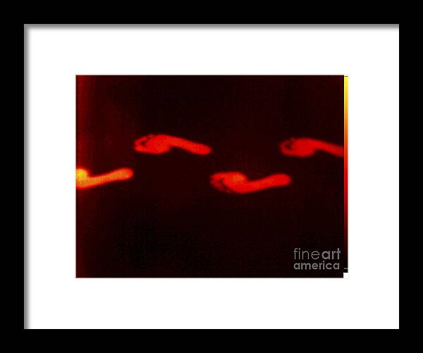 Barefoot Framed Print featuring the photograph Thermogram Of Thermal Footprints #1 by GIPhotoStock