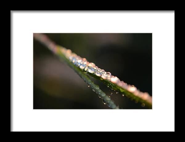 Sunrise Framed Print featuring the photograph To See The Light... #1 by Melanie Moraga