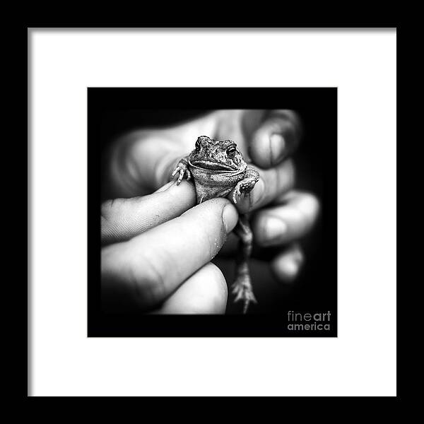 Hand Framed Print featuring the photograph Toad in Hand by Edward Fielding