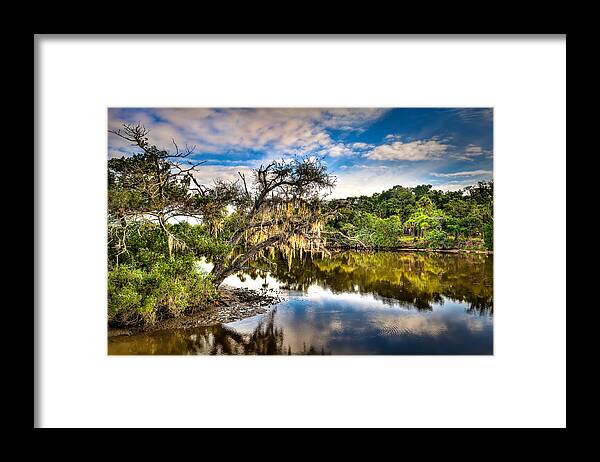 Scenic Framed Print featuring the photograph Tomoka Oaks #1 by Brent Craft