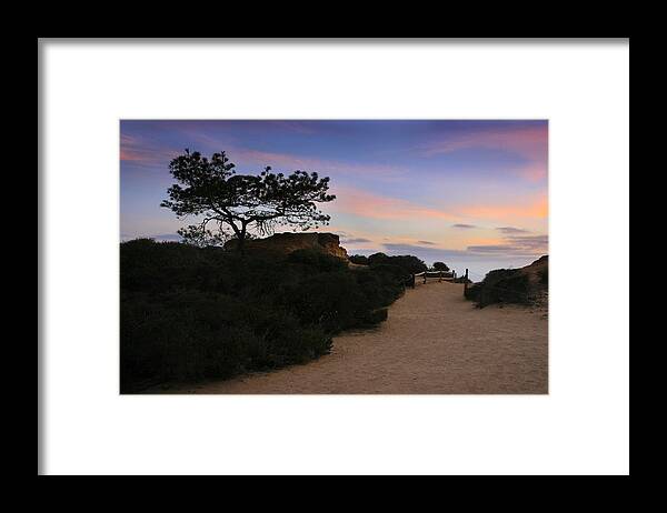 Landscape Framed Print featuring the photograph Torrey Pines Trail #1 by Scott Cunningham