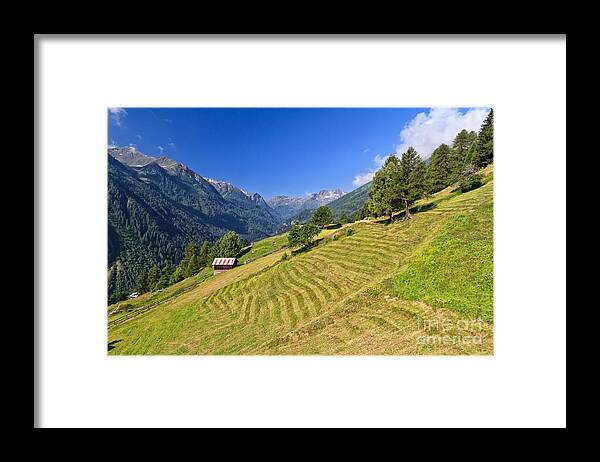 Alpine Framed Print featuring the photograph Trentino - Pejo valley #1 by Antonio Scarpi