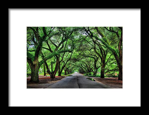 Aiken Framed Print featuring the photograph Tunnel of Oaks by John Kirkland