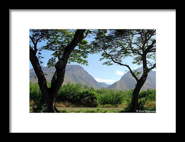 Hawaii Framed Print featuring the photograph Valley View by Ken Arcia