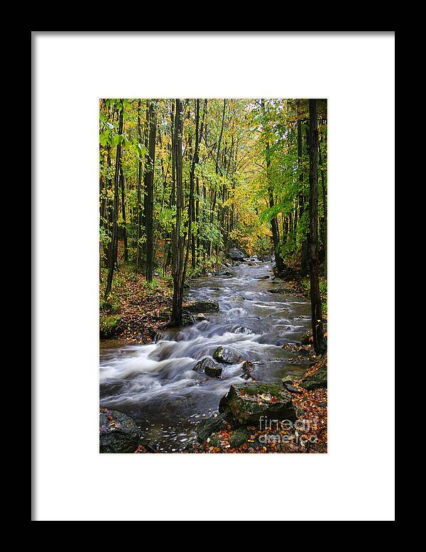 Stream Framed Print featuring the photograph Vermont Stream by Bobbie Turner