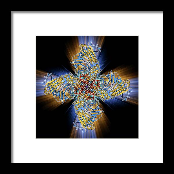 Alpha Helix Framed Print featuring the photograph Voltage-gated Potassium Channel #1 by Laguna Design