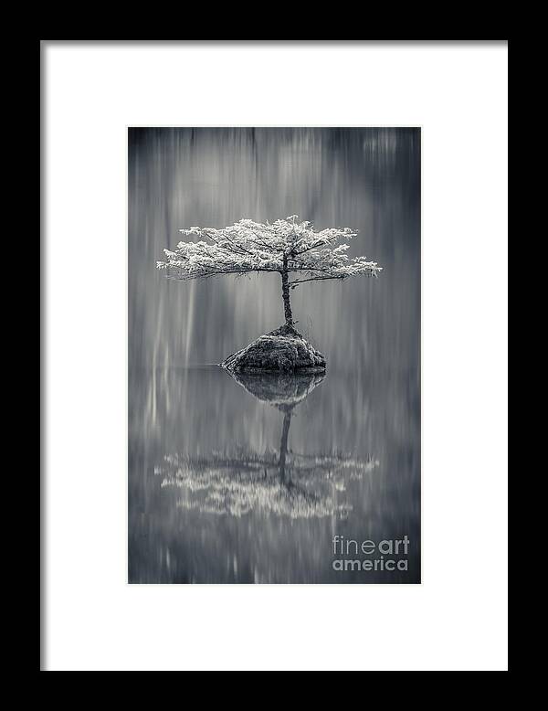 Bonsai Framed Print featuring the photograph Waiting by Carrie Cole