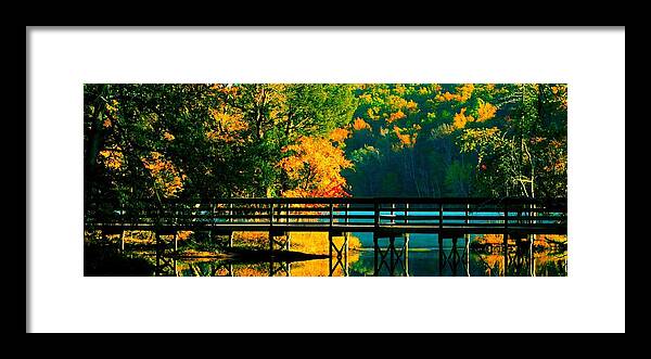 Landscape-wooden Bridge Framed Print featuring the photograph Walkway #1 by Steve Godleski