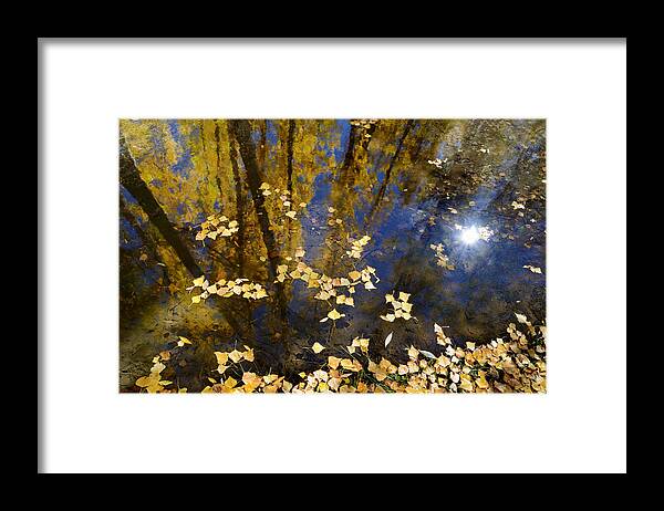 River Framed Print featuring the photograph Water #1 by Guido Montanes Castillo