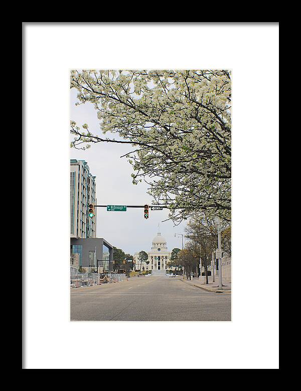 Montgomery Framed Print featuring the photograph White Avenue by Iryna Goodall