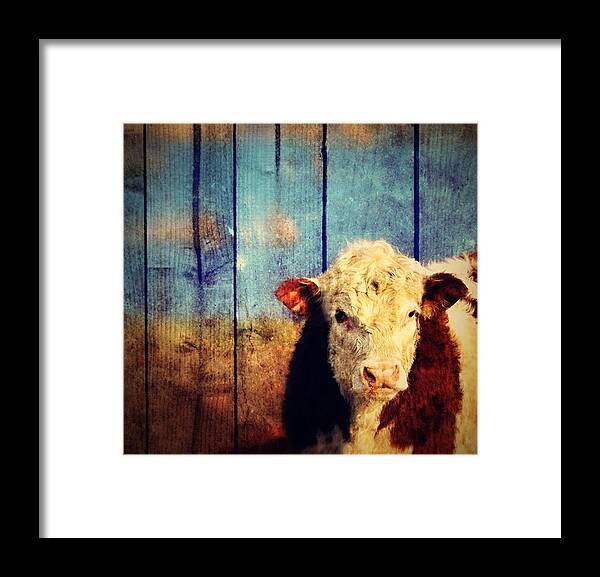 Cow Framed Print featuring the photograph Cow by Marysue Ryan