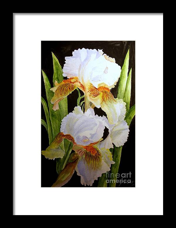 Iris Framed Print featuring the painting White Iris #1 by Carol Grimes