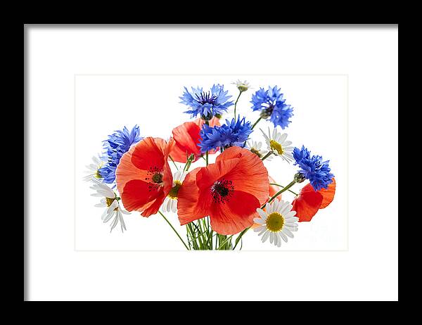 Flowers Framed Print featuring the photograph Wildflower bouquet 1 by Elena Elisseeva