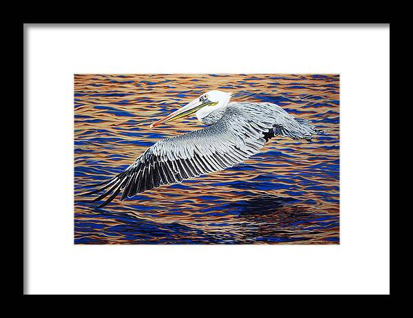 Bird Framed Print featuring the painting Wind Surfer by Cheryl Fecht