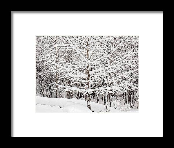 Winter Store Print Framed Print featuring the photograph Winter Storm Print #1 by Gwen Gibson