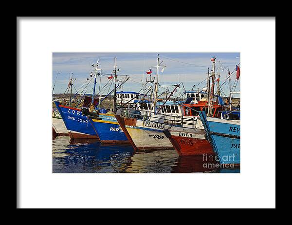 Chile Framed Print featuring the photograph Wooden Fishing Boats In Harbor, Chile #1 by John Shaw