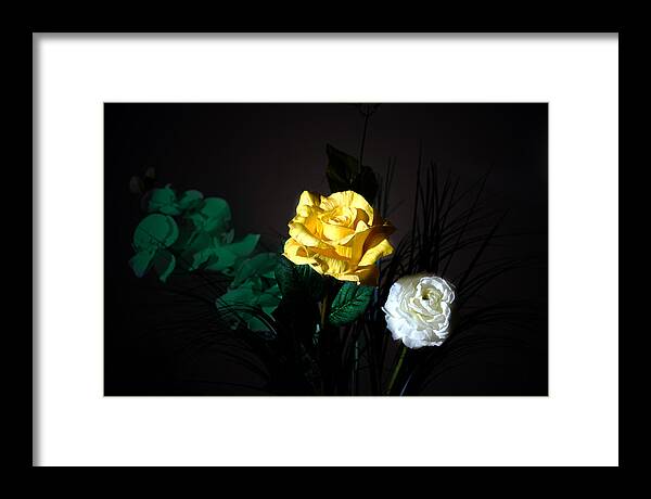 Flower Framed Print featuring the photograph Yellow and White #2 by Cecil Fuselier