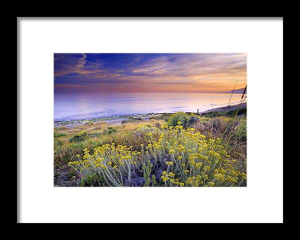 Seascape Framed Print featuring the photograph Yellow flowers at the sea #1 by Guido Montanes Castillo