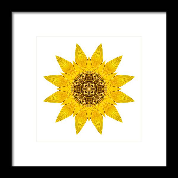 Flower Framed Print featuring the photograph Yellow Sunflower X Flower Mandala White by David J Bookbinder