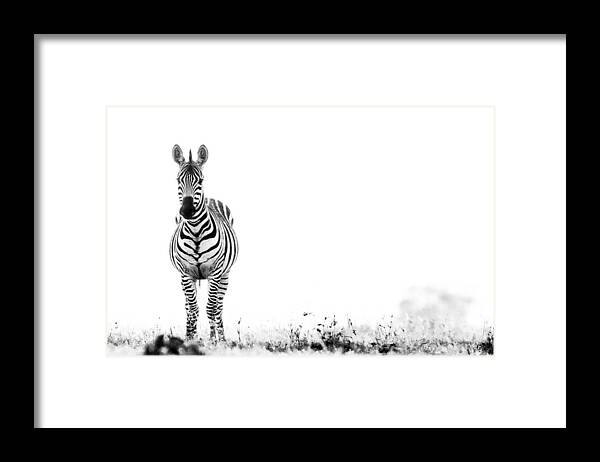 Africa Framed Print featuring the photograph Zebra Facing Forward Washed Out Sky Bw #1 by Mike Gaudaur