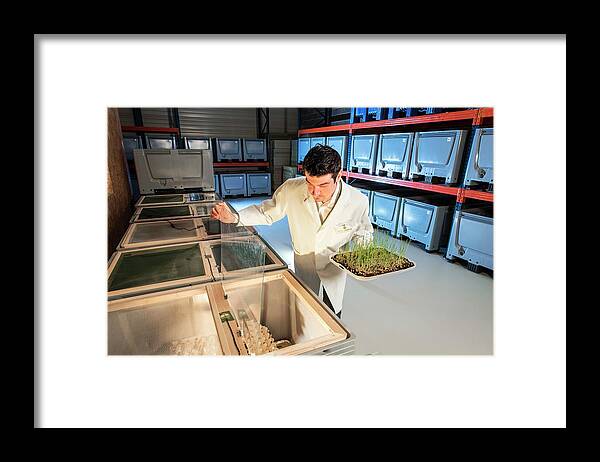 One Person Framed Print featuring the photograph Breeding Insects For Human Consumption #10 by Philippe Psaila