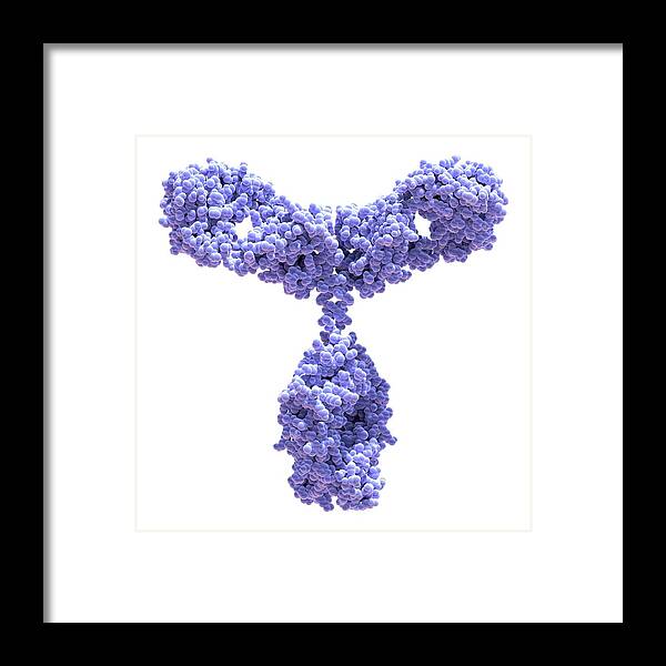 3d Framed Print featuring the photograph Immunoglobulin G Antibody Molecule #10 by Alfred Pasieka