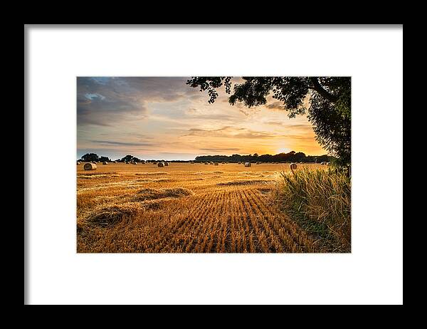 Art Framed Print featuring the photograph Stunning Summer landscape of hay bales in field at sunset #10 by Matthew Gibson