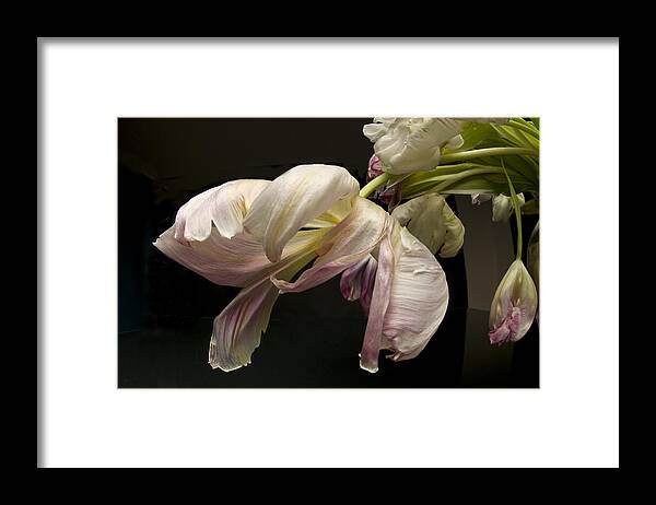 Flowers Framed Print featuring the photograph The Last Dance #3 by Robert Dann