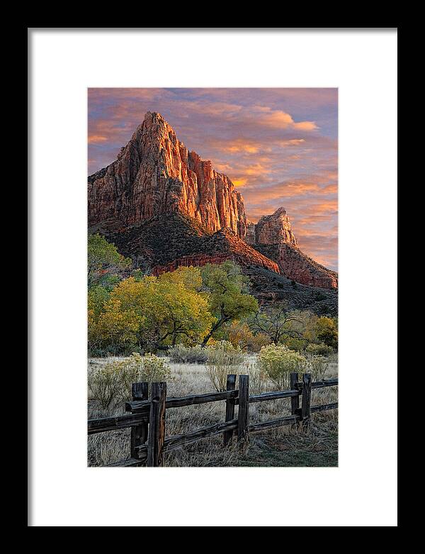 Zion National Park Framed Print featuring the photograph Zion National Park #10 by Douglas Pulsipher