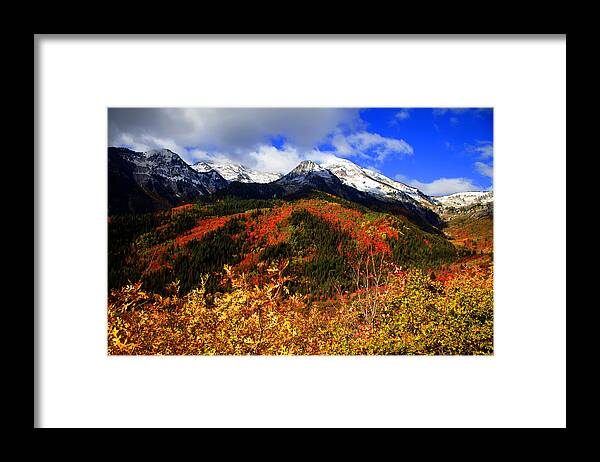 Autumn Framed Print featuring the photograph Fall by Mark Smith
