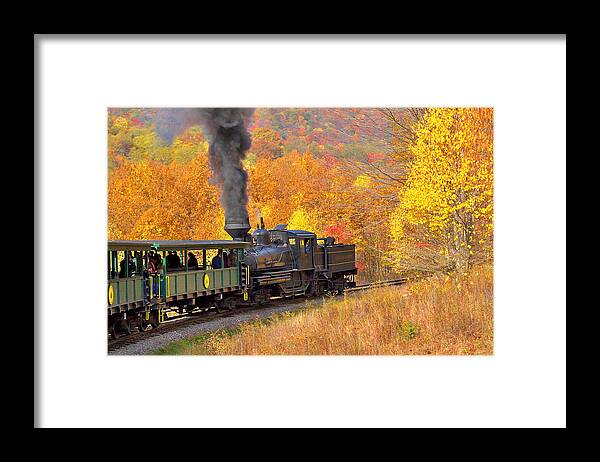 Train Framed Print featuring the photograph Cass Scenic Railroad #14 by Mary Almond