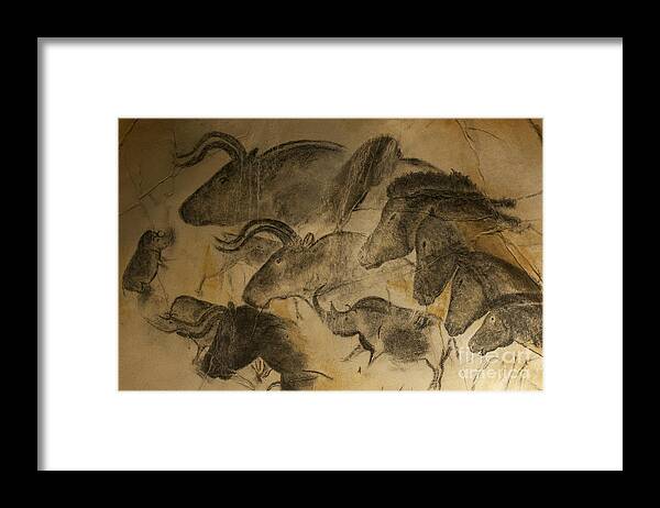 Chauvet Framed Print featuring the photograph 131018p051 by Arterra Picture Library