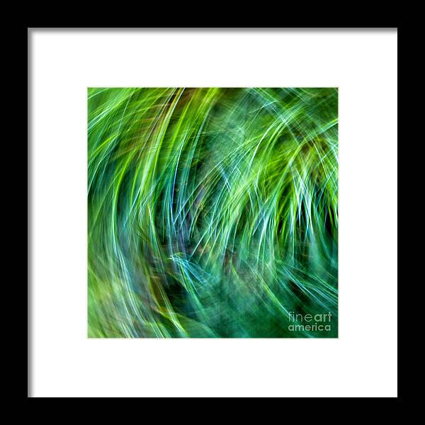 Joanne Bartone Photographer Framed Print featuring the photograph Meditations on Movement in Nature #14 by Joanne Bartone
