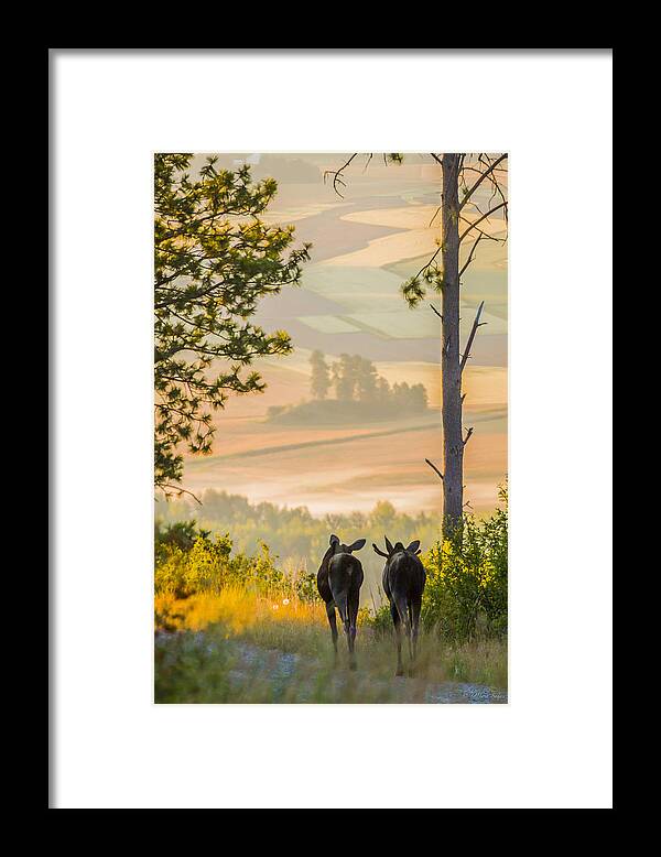 Wildlife Framed Print featuring the photograph 140729A-277 Smokey Sunrise by Albert Seger