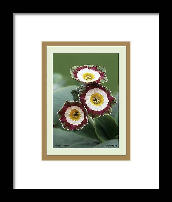  Framed Print featuring the photograph Untitled #1432 by Science Photo Library