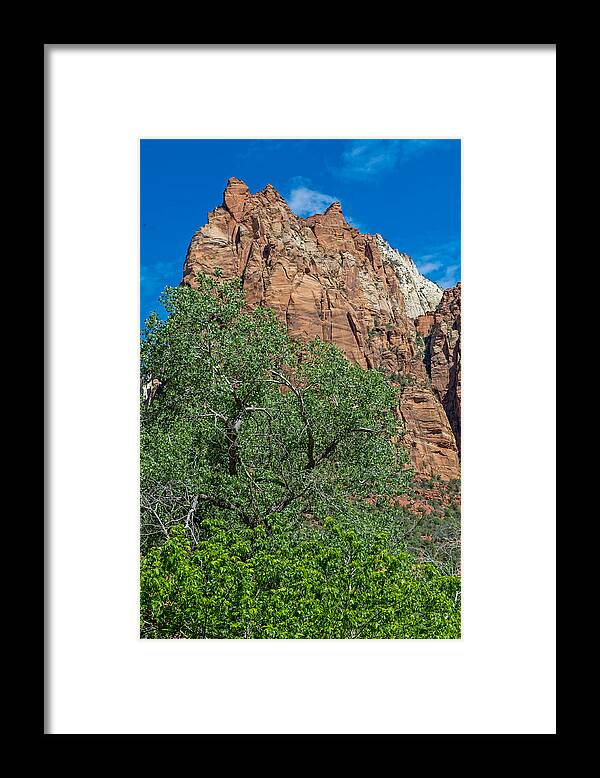Zion Framed Print featuring the photograph Zion National Park #15 by Willie Harper