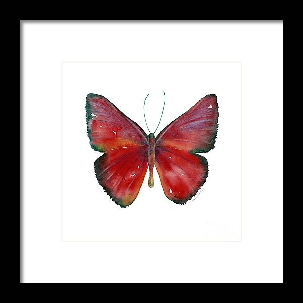 Red Framed Print featuring the painting 16 Mesene Rubella Butterfly by Amy Kirkpatrick