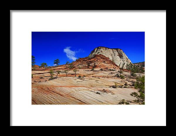 Landscape Framed Print featuring the photograph Zion National Park Utah USA #36 by Richard Wiggins