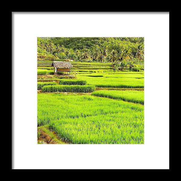  Framed Print featuring the photograph Instagram Photo #171367446378 by Tommy Tjahjono