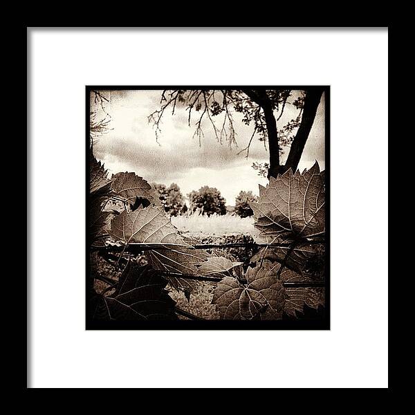 Summer Framed Print featuring the photograph Instagram Photo #19 by Dwight Darling