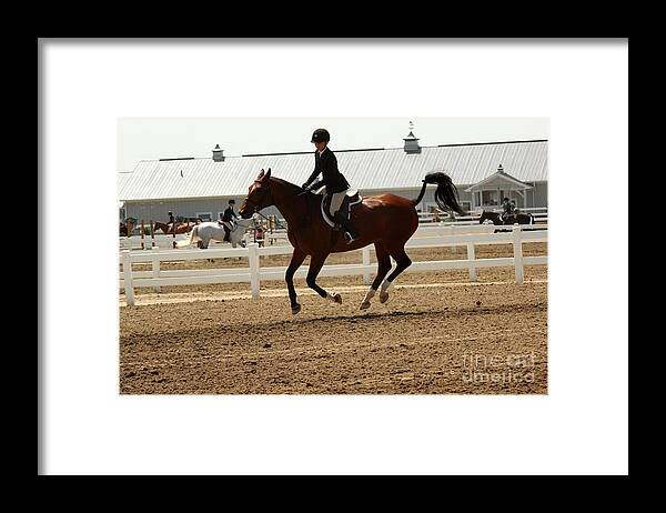 Horse Framed Print featuring the photograph 1hunter24 by Janice Byer