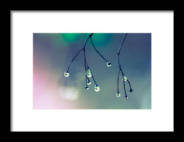 Canada Framed Print featuring the photograph After Rain #2 by Jakub Sisak
