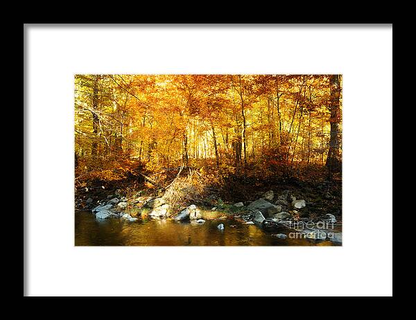 Sunset Framed Print featuring the photograph Autumn Stream #1 by HD Connelly