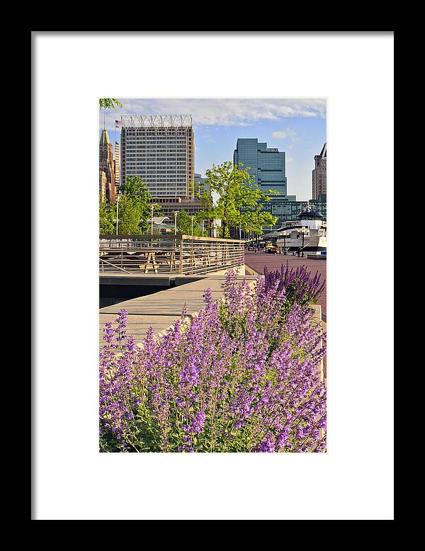 Baltimore Framed Print featuring the photograph Baltimore Spring Flowers by Marianne Campolongo