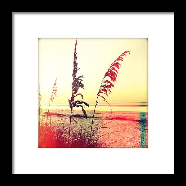 Florida Framed Print featuring the photograph Before Day #1 by Chris Andruskiewicz